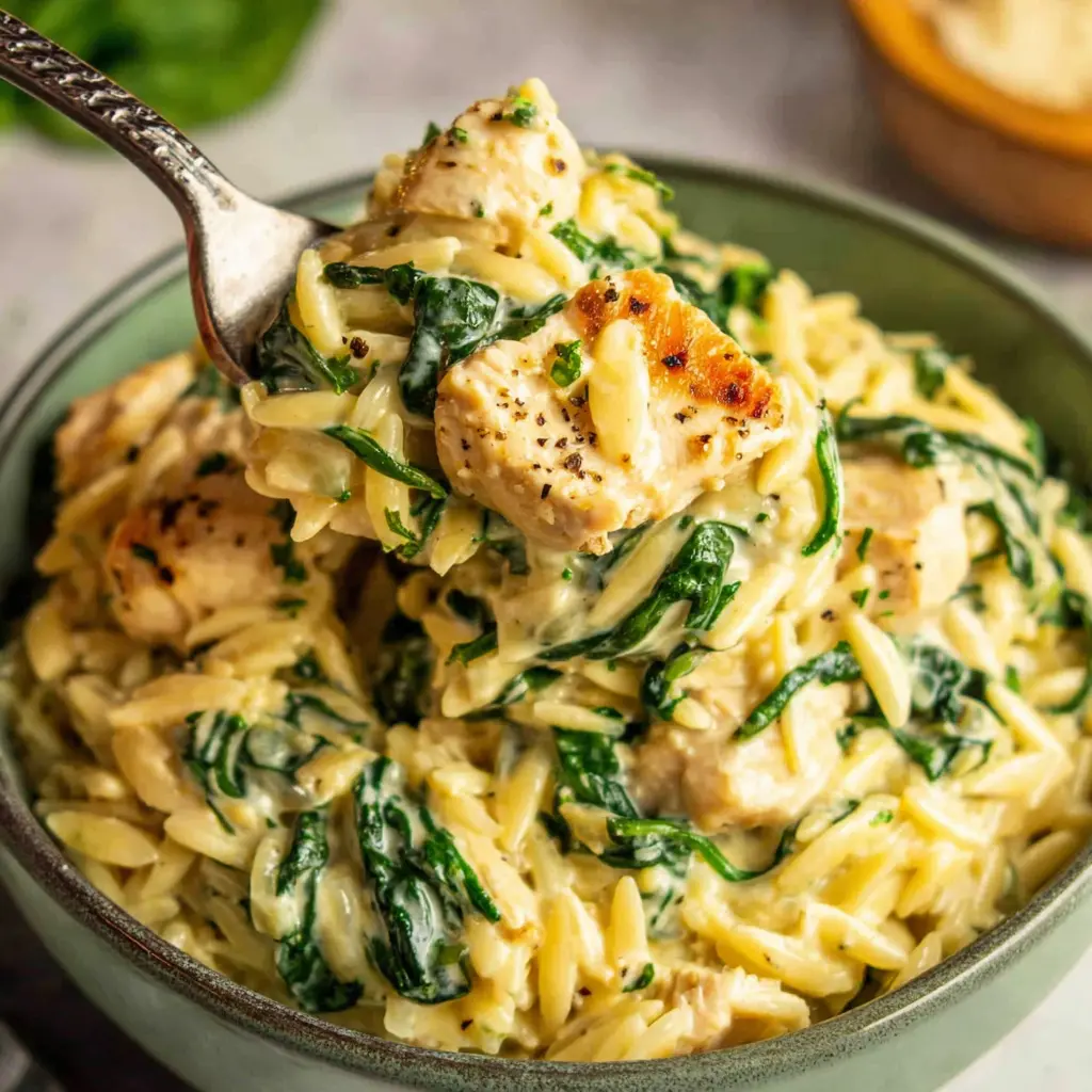 Chicken Spinach Orzo Bowl close up
